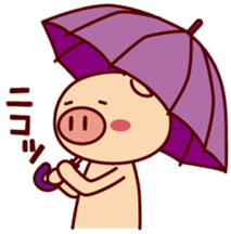 rainy pig sticker #3743960