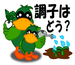 duck of an investment sticker #3745853