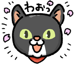 Marimo & Kira sticker #3746987