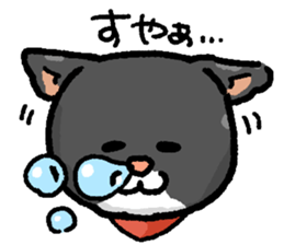 Marimo & Kira sticker #3746989