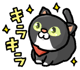 Marimo & Kira sticker #3746994