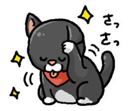 Marimo & Kira sticker #3746999