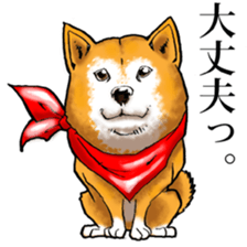 Shibadog sticker #3747527