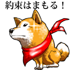 Shibadog sticker #3747530