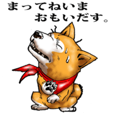 Shibadog sticker #3747537