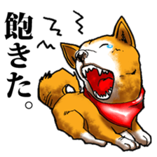 Shibadog sticker #3747563