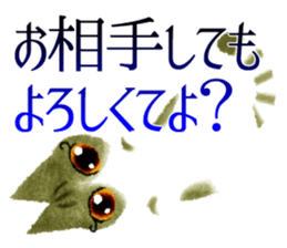 Beautiful cat SASAMI sticker #3747972