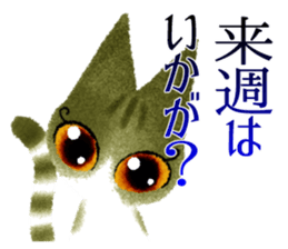 Beautiful cat SASAMI sticker #3747994