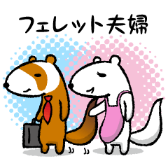 ferret couple