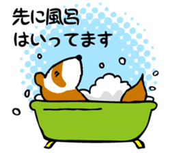 ferret couple sticker #3748743