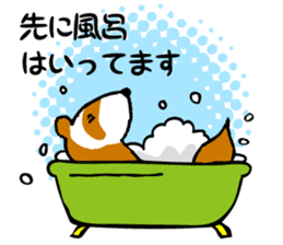 ferret couple sticker #3748743