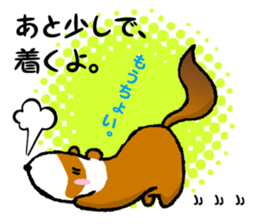 ferret couple sticker #3748745