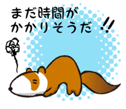 ferret couple sticker #3748755