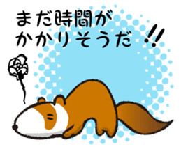 ferret couple sticker #3748755