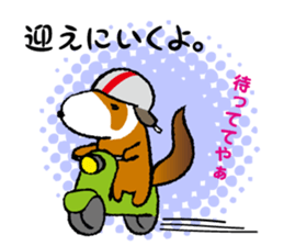 ferret couple sticker #3748756