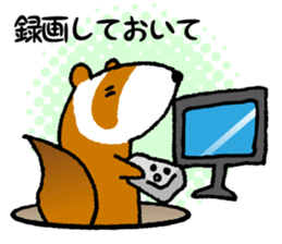 ferret couple sticker #3748762