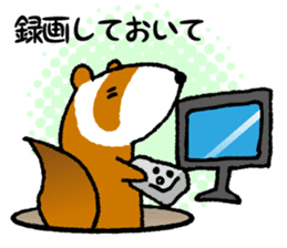 ferret couple sticker #3748762