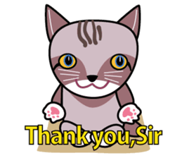 OH-OKA NEKOZEN Judgement sticker #3749353