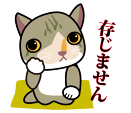 OH-OKA NEKOZEN Judgement sticker #3749355