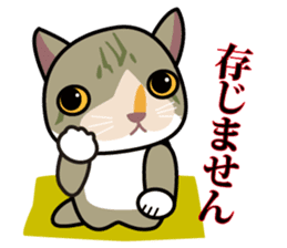 OH-OKA NEKOZEN Judgement sticker #3749355