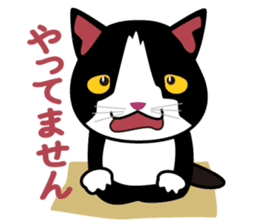 OH-OKA NEKOZEN Judgement sticker #3749359