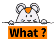 Kawaii HAMSTER MOUSE sticker #3750735