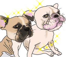French Bulldog Stickers 2 sticker #3751527