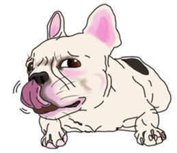 French Bulldog Stickers 2 sticker #3751535