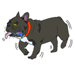 French Bulldog Stickers 2 sticker #3751542