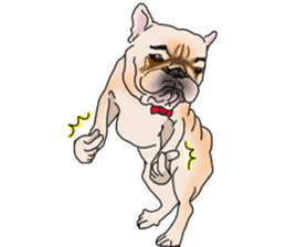 French Bulldog Stickers 2 sticker #3751543