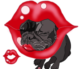 French Bulldog Stickers 2 sticker #3751544