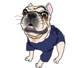 French Bulldog Stickers 2 sticker #3751549