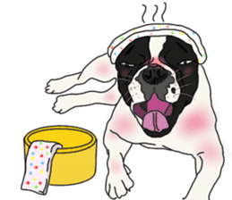 French Bulldog Stickers 2 sticker #3751557