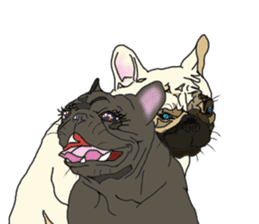 French Bulldog Stickers 2 sticker #3751558