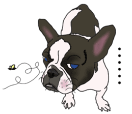 French Bulldog Stickers 2 sticker #3751561