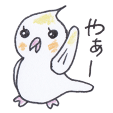 Cute chatting Cockatiel-chan sticker #3753409