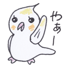 Cute chatting Cockatiel-chan sticker #3753409