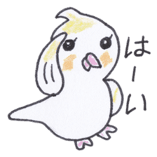Cute chatting Cockatiel-chan sticker #3753410