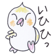 Cute chatting Cockatiel-chan sticker #3753411