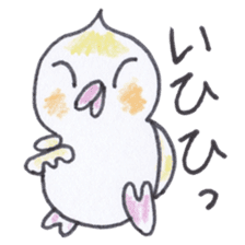Cute chatting Cockatiel-chan sticker #3753411