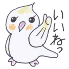 Cute chatting Cockatiel-chan sticker #3753415