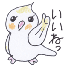 Cute chatting Cockatiel-chan sticker #3753415