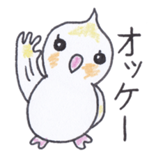 Cute chatting Cockatiel-chan sticker #3753416