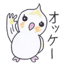 Cute chatting Cockatiel-chan sticker #3753416