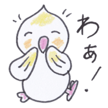 Cute chatting Cockatiel-chan sticker #3753417