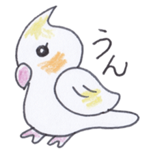Cute chatting Cockatiel-chan sticker #3753419