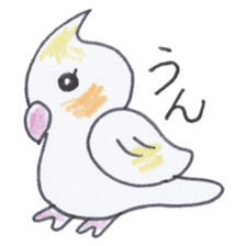 Cute chatting Cockatiel-chan sticker #3753419