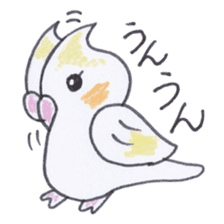 Cute chatting Cockatiel-chan sticker #3753420