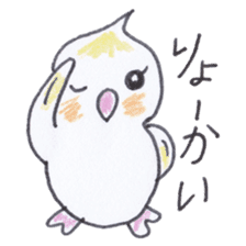 Cute chatting Cockatiel-chan sticker #3753421