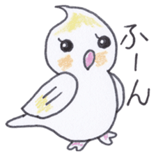 Cute chatting Cockatiel-chan sticker #3753423